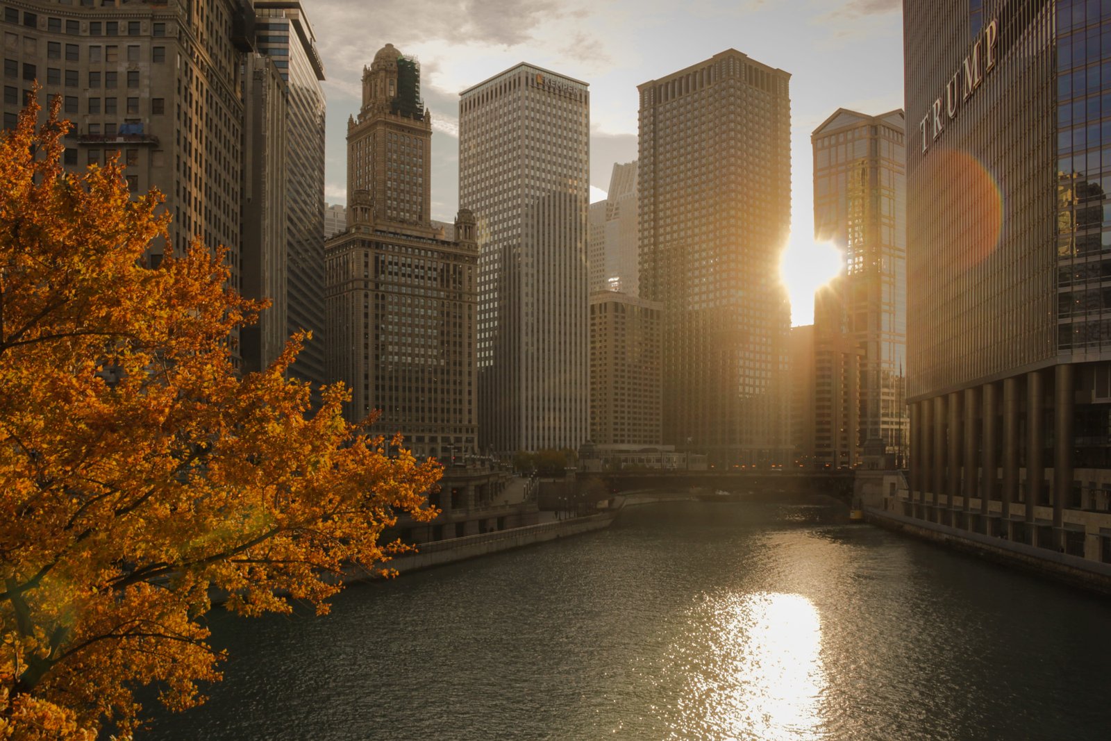 Chicago skyline at dusk