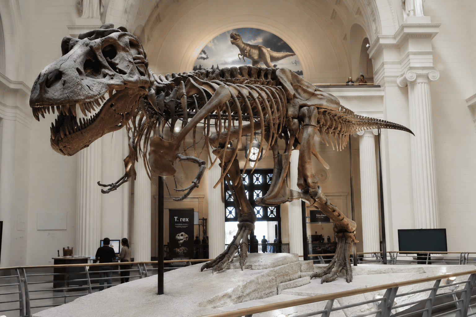 Field Museum T. rex skeleton