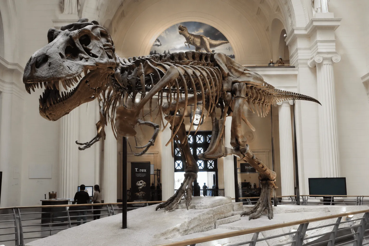 Field Museum